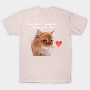 Perfect just the way you are cat T-Shirt